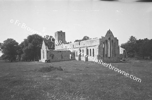 ARDFERT FRIARY SCENES